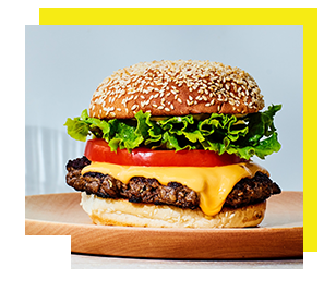 Gourmet Cheese Burger Single